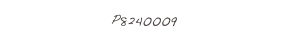 P8240009