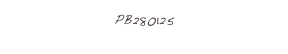 PB280125