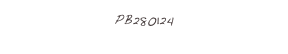 PB280124