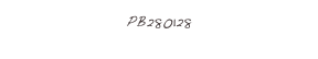 PB280128