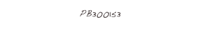 PB300153